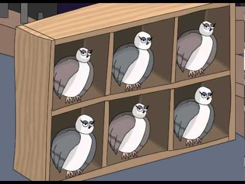 The Penniless Optimist - animation