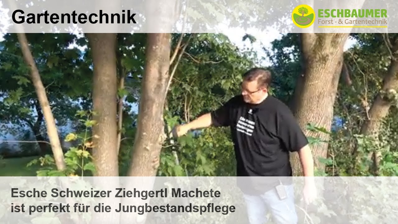 Vorschau: Youtube-Video