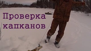 Зима ловля щуки на капкан
