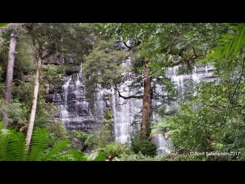 Spirit Safaris in Tasmania