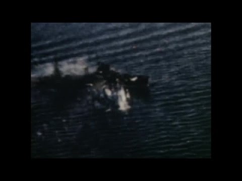 Clash of Warriors Vandegrift vs Hyakutake Guadalcanal