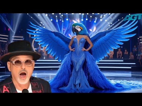 Woman and parrot amazing performance on America's got talent show