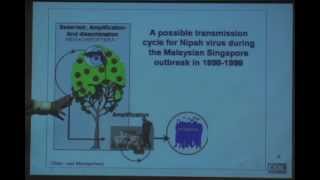 COVID 2.0: the Nipah Virus