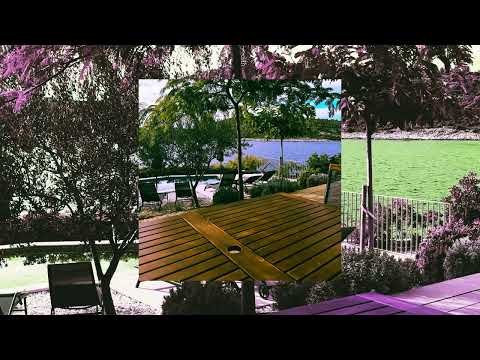 KuKyZZ- Tarytum šou