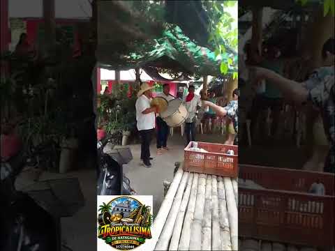 contrabandista-banda papayera la tropicalisima de natagaima #banda #folklore #tradiciones #cultura