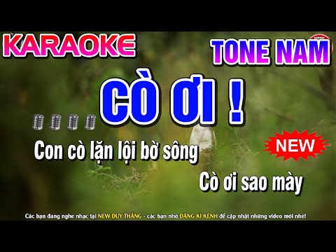 Cò Ơi Karaoke ( Gia Huy ) Tone Nam - New Duy Thắng