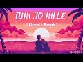 Tum Jo Mile - [ Slowed + Reverb ] Shreya Ghoshal | Ved | DD LOFI SONG