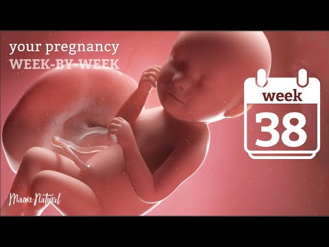 38 Weeks Pregnant - Natural Pregnancy Week-By-Week
