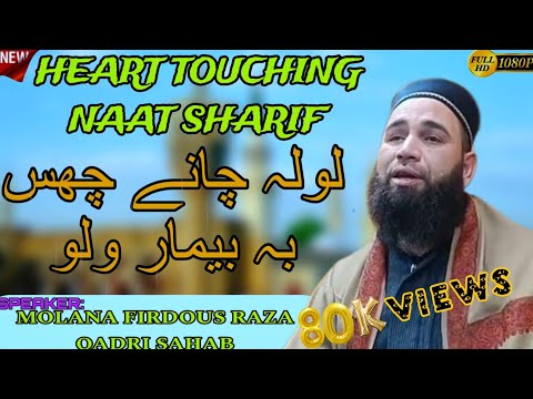New Kashmiri Naat_Lool Chane Chus Be Bemaar Walo_Molana Firdous Raza Qadri Sahab At Yader Shadimarg