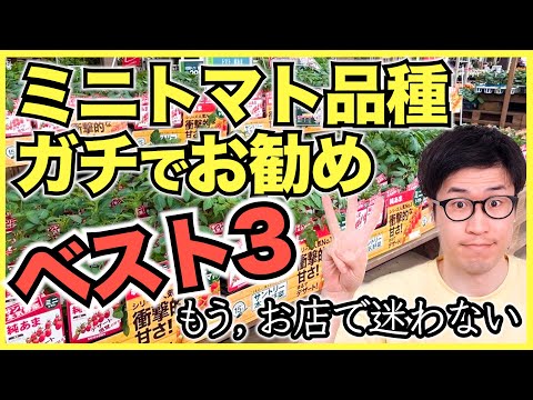 どの品種のトマトを選ぶべきですか？