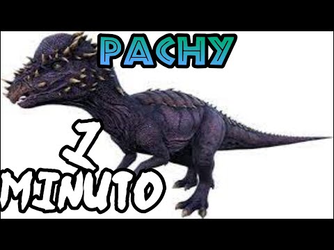 EL PACHY DE ARK EN UN 1 MINUTO