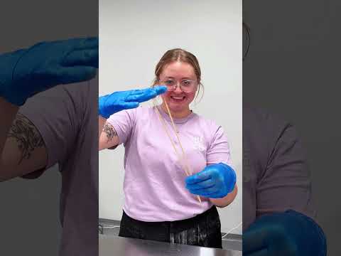 The Ultimate S’more’s Hack! 🔥