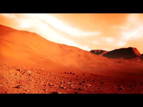 Kateryna Voroniuk - Everlasting Sun