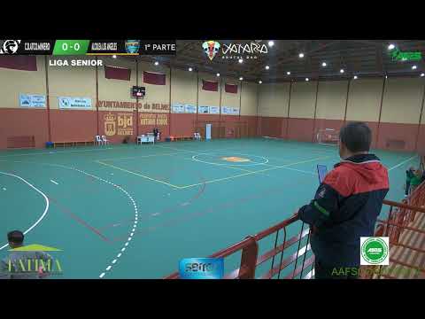 LIGA SENIOR 14ª JORNADA 1ª PARTE C D ATCO MINERO ALCOLEA LOS ANGELES