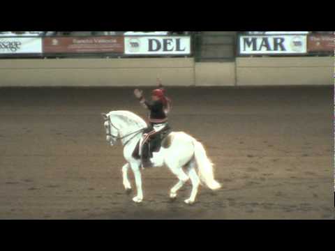 Night of the Horse 2011 - Ramon Bercerra