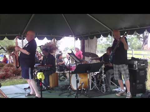 The Blues Spirits Of Maui  (band members with Tom Scott)