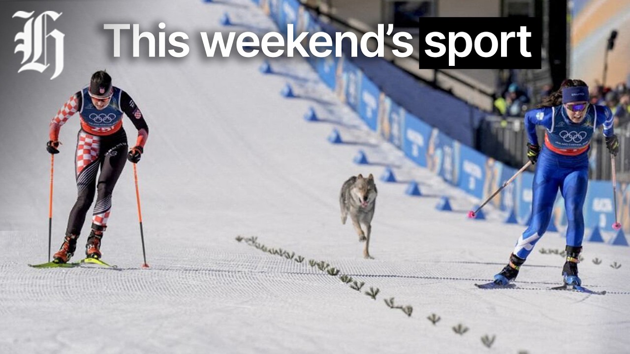 Sports panel: Winter Olympics, Super Rugby crowds and T20 World Cup | Herald NOW