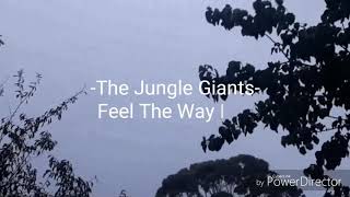 Lyric Video- Feel The Way I Do by The Jungle Giants