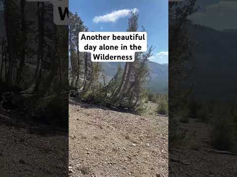 Alone In The Mountains! 🏔️