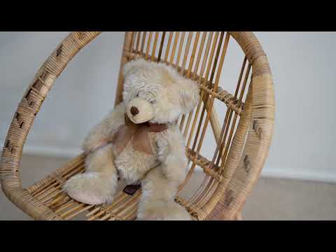 Video for 105 Collingwood Drive, Collingwood Park  QLD  4301