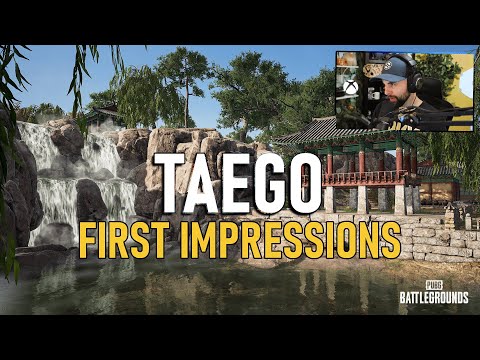 Taego First Impressions (Comeback BR, Self Revive & More!)
