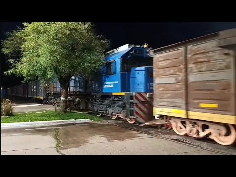 Tren 5004/CRRC 9765 + GT22 9740 por Simoca. Tucumán 💪🚂