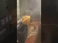 What Happens When You Put Ice In A Deep Fryer