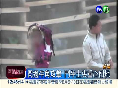 祕魯瘋鬥牛! 驚險瞬間全都錄