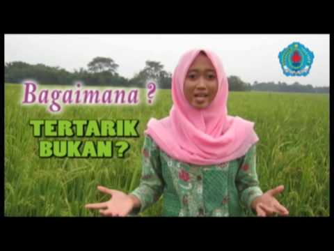 Bagaimana meningkatkan penis tanpa intervensi bedah Ulasan tentang exciter perempuan fox perak