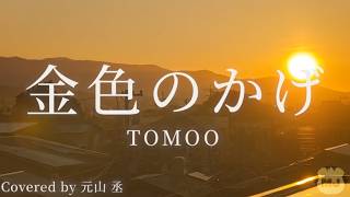 TOMOO - 金色のかげ
