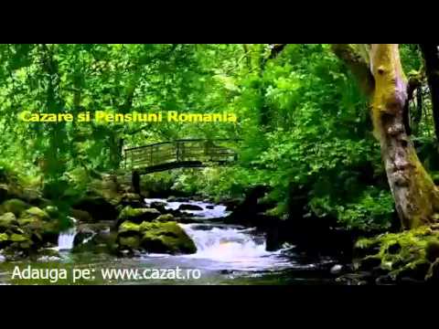 Cazare Dobroslovesti, Vaslui - Cazat.ro