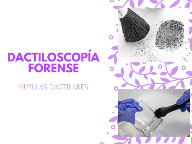 Vídeo relacionado con Decoración Moderna Del Hogar Molde De Huellas Dactilares Huella Digital Ciencia Forense Pared Calcomanía Sala De Estar Arte Pegatinas De Pared Dormitorio Mural 42X55Cm