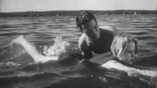 the mountain goats - game shows touch our lives