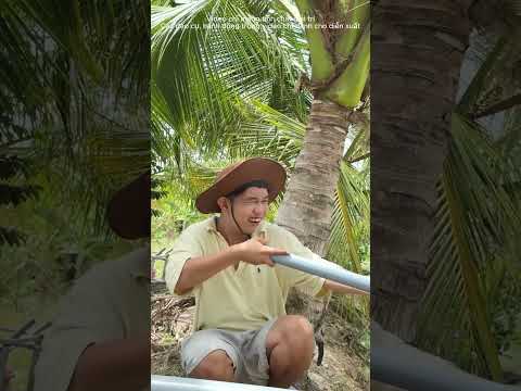 Nói Mà Anh Tý Hông Tinnnnn…