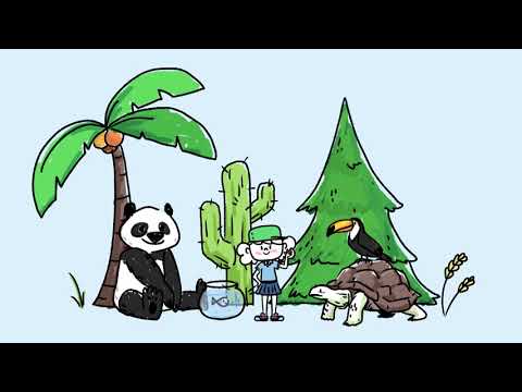 Mais c’est quoi, une cellule ?  - Curionautes des sciences