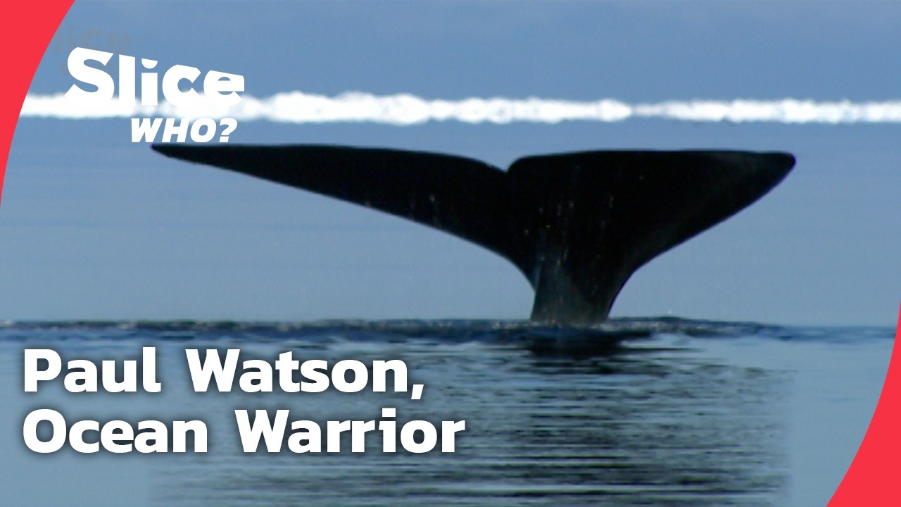 Paul Watson: The Soul of Sea Shepherd | SLICE WHO | FULL DOCUMENTARY