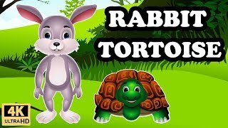 Rabbit and Tortoise Story in English  Moral storie