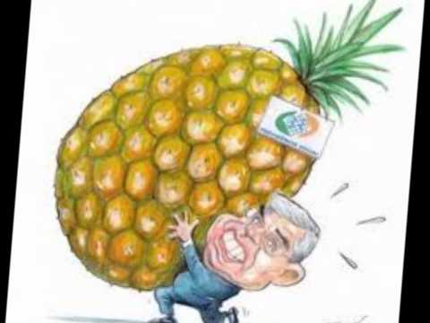 Vinheta do caminhão vendendo abacaxi de Marataízes