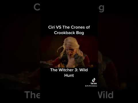 Ciri VS The Witches! #TheWitcher3