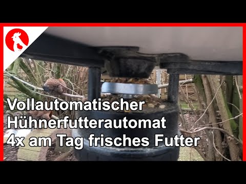 , title : 'F155 Vollautomatischer zeitgesteuerter Hühnerfutter Automat - bis 4x/Tag frisches Futter nach Zeit'