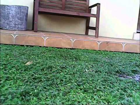 Hubsan x4 107c drone fligh