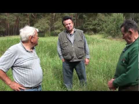 Hochozaŕe hulicuju - unterwegs durch die Gemarkung Drachhausen