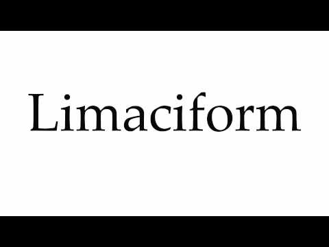 How to Pronounce Limaciform