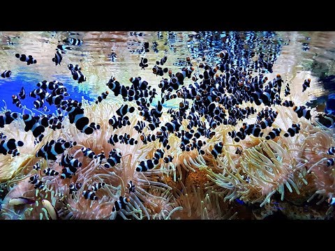 Tenerife 2019 GOPRO Hero 7 Black Edition