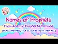 25 Names Of Prophets In Islam | Nasheed by Zain Bhikha | 4K