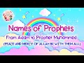 25 Names Of Prophets In Islam Nasheed By Zain Bhikha 4K