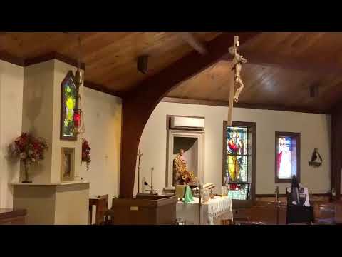 8am Mass-33rd Sunday in Ordinary Time