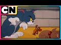 Tom And Jerry Chaos In The House Cartoon For Kids Cat The Mouse Cnindia