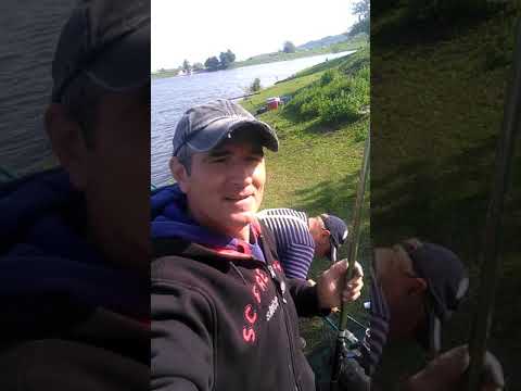 Super captura pe Iazul Augustin Siret . Salonta uriasa