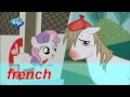 The Perfect Stallion Multilanguage